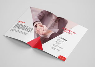 裝飾類(lèi)宣傳畫(huà)冊(cè)